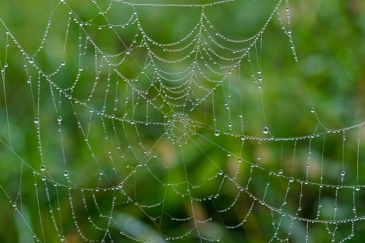 Webデザインの就職を未経験から成功させるためのポイントは？