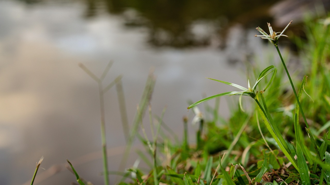 未経験からのIT転職に役立つ自己PRの例文は？
