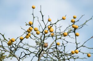 プログラミングスクールをやめとけと言われる理由は本当なのか？