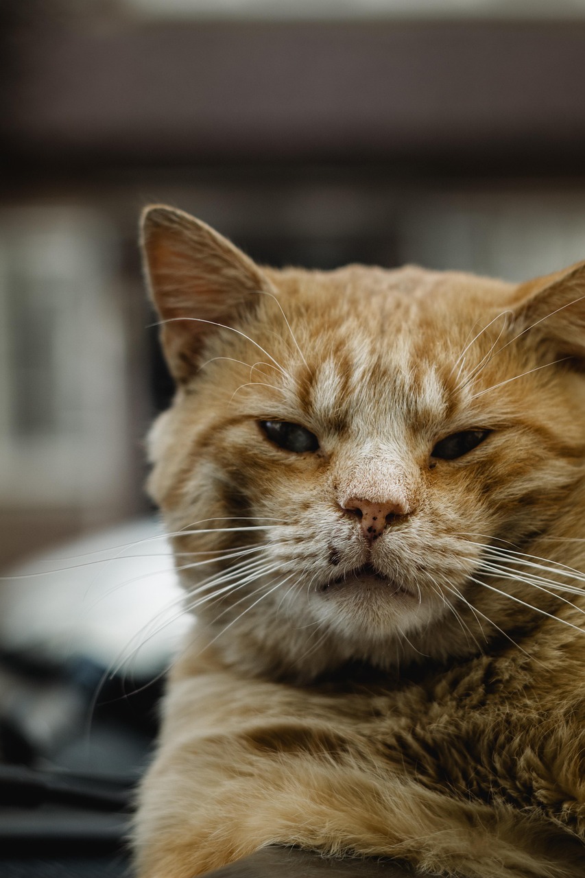 ポテンシャル採用とは未経験の20代エンジニアにどのようなチャンスを提供するのか？