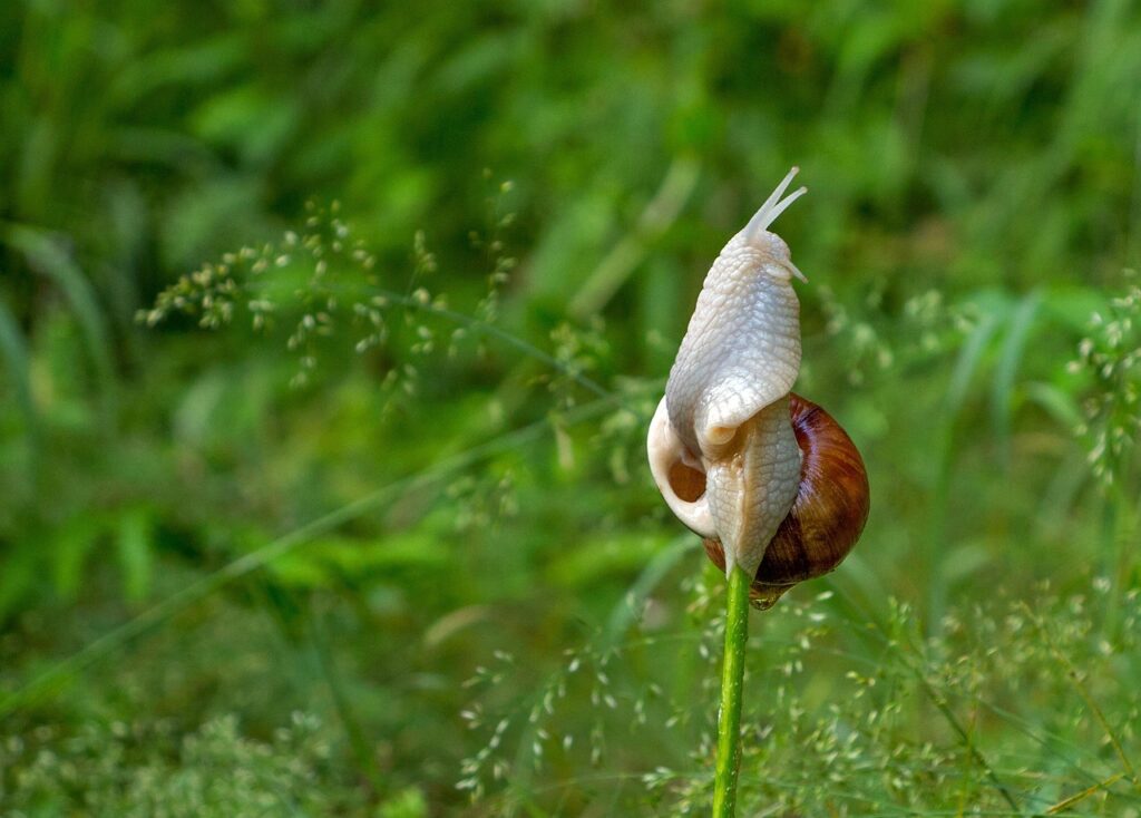 未経験の20代がIT業界に応募する際の志望動機の例文は？