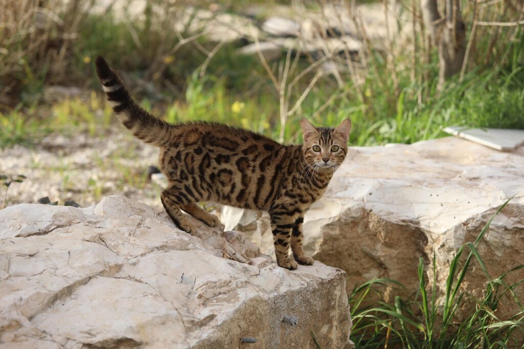 20代男性がIT転職で失敗回避するためのコツは？